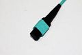 MTP® / MPO Cabling System MTP® / MPO Cabling System